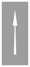 A şıkkı